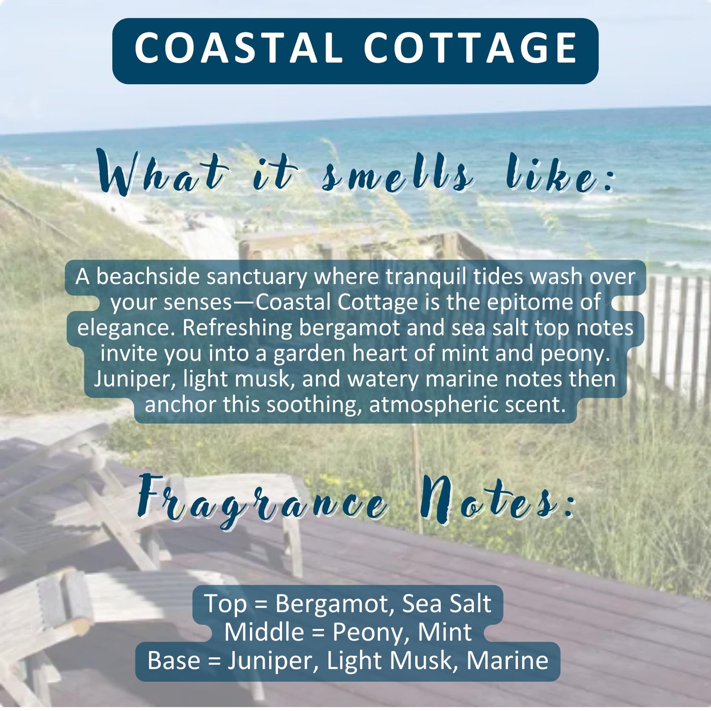 Solid Lotion Bar | Vegan