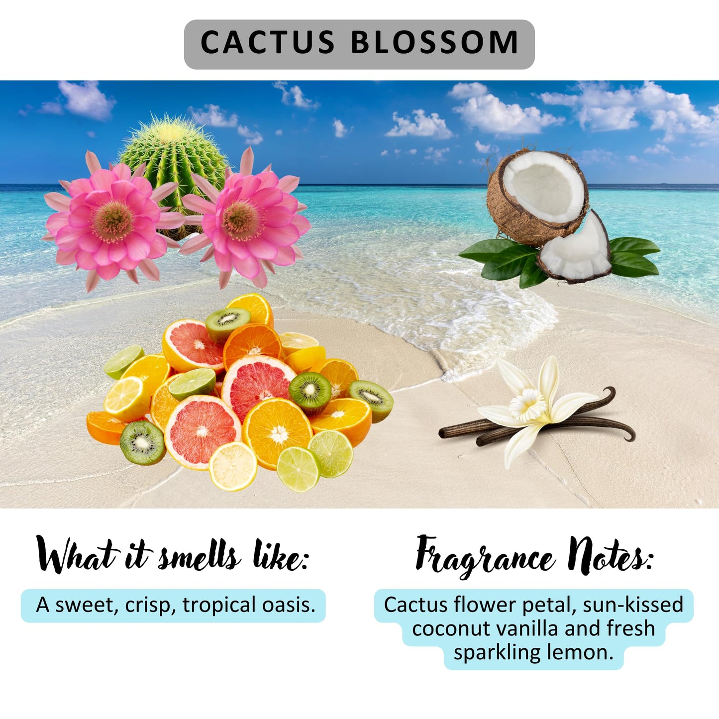 Solid Lotion Bar | Vegan