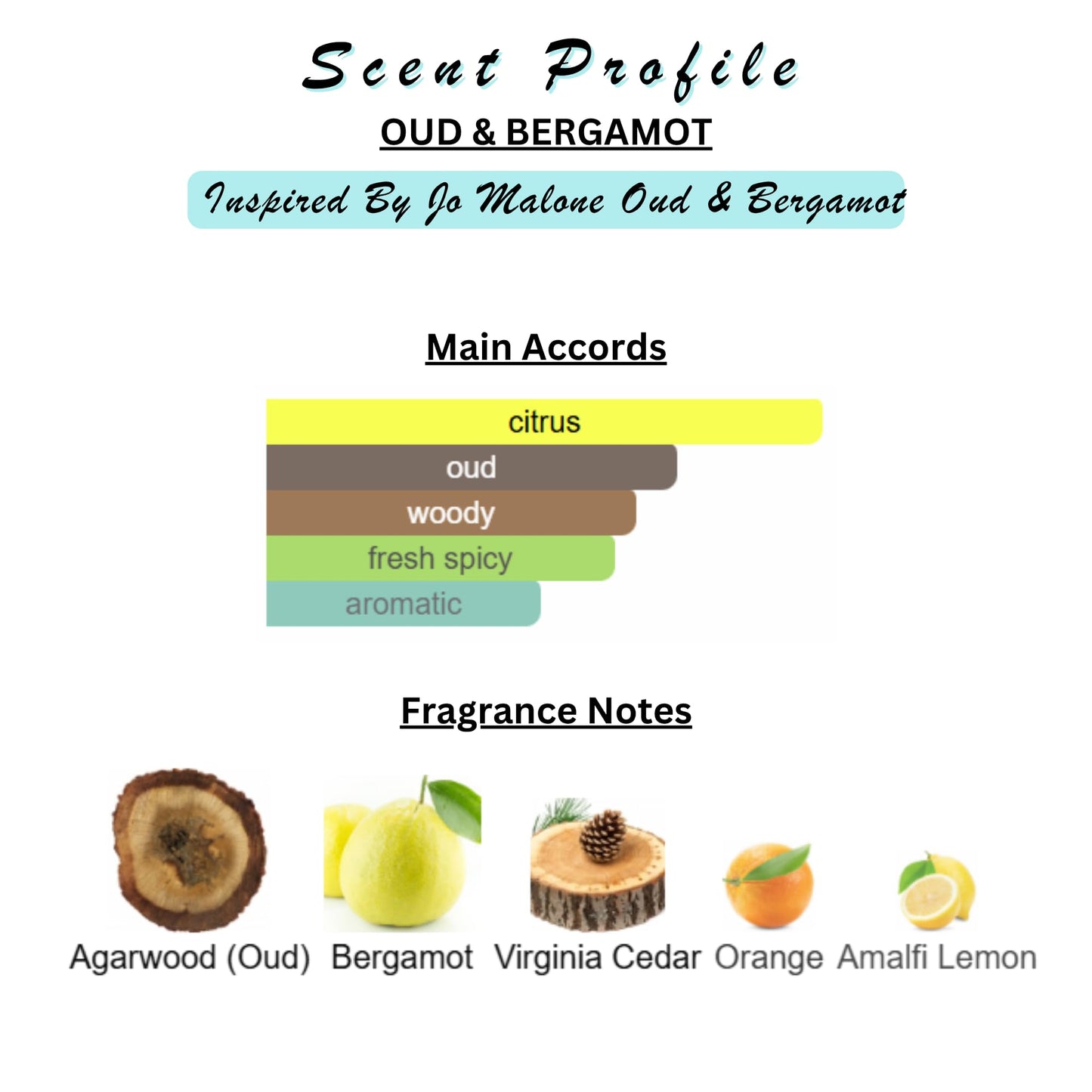 Solid Perfume & Cologne Balm | Designer Inspired Scents