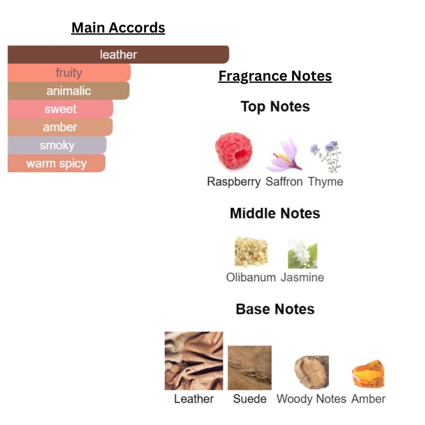 Perfume & Cologne Oil | Roller Ball | Designer Inspired Scents