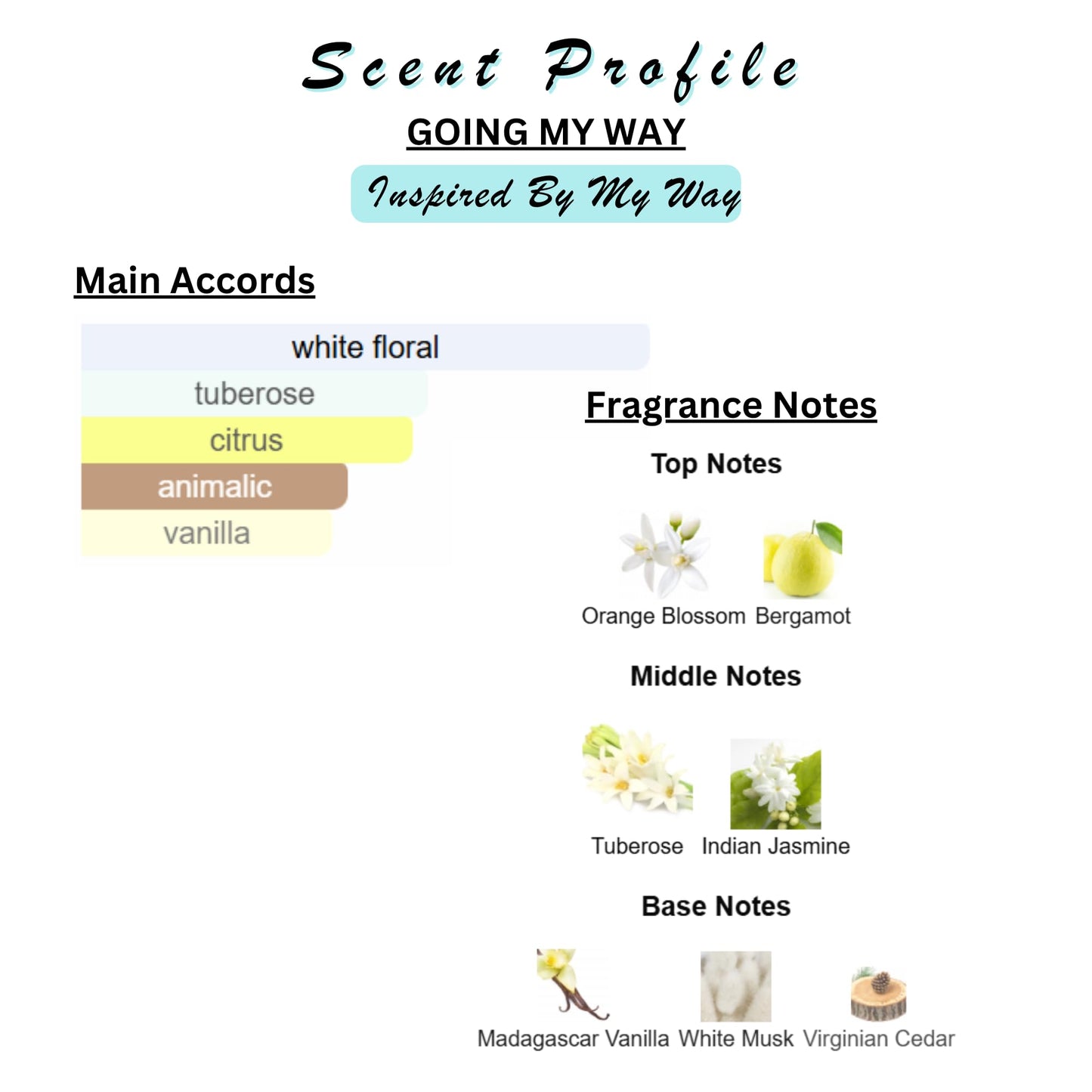 Solid Perfume & Cologne Balm | Designer Inspired Scents