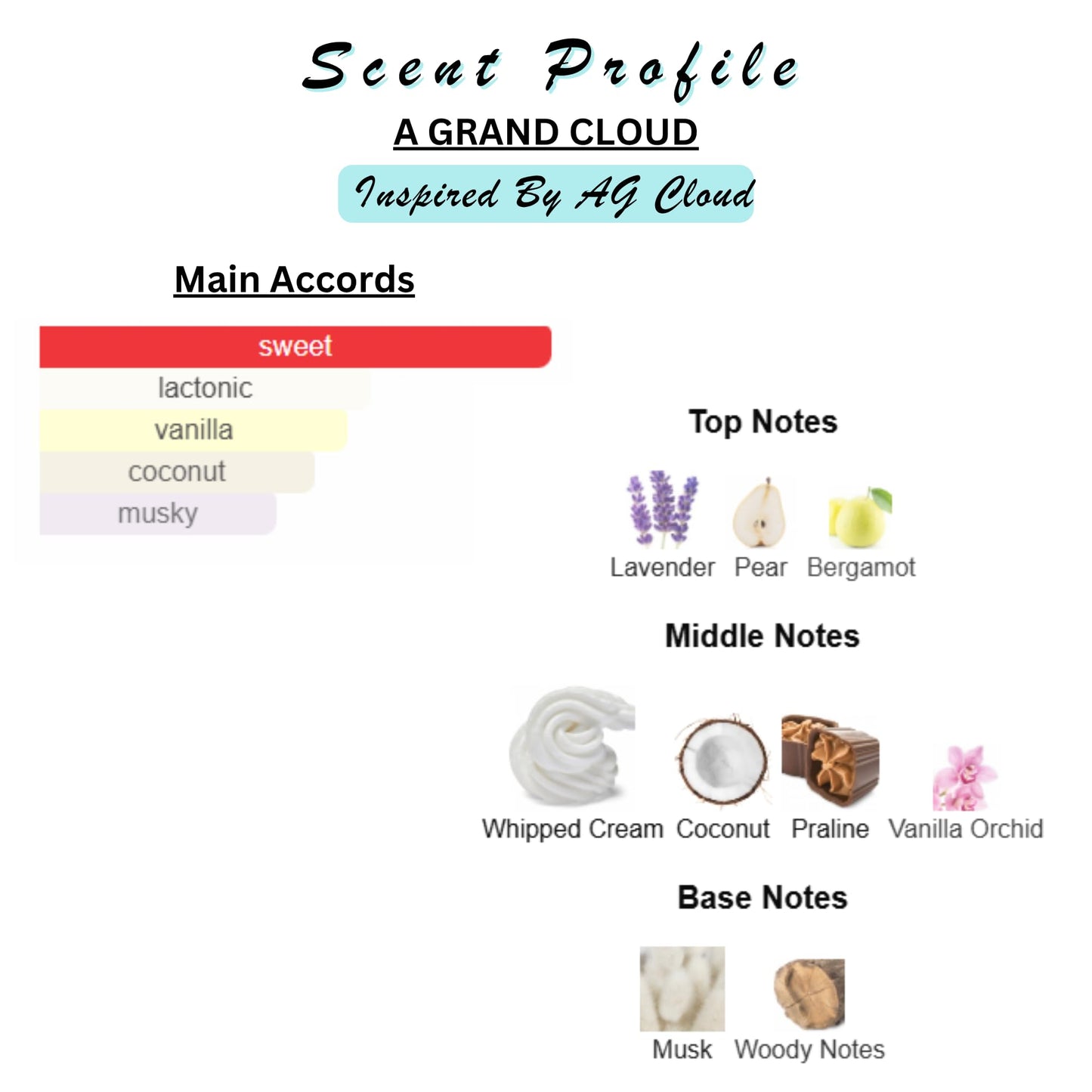 Solid Perfume & Cologne Balm | Designer Inspired Scents