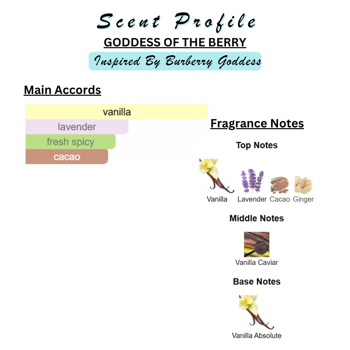 Perfume & Cologne Oil | Spray | Designer Inspired Scents