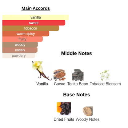 Perfume & Cologne Oil | Roller Ball | Designer Inspired Scents