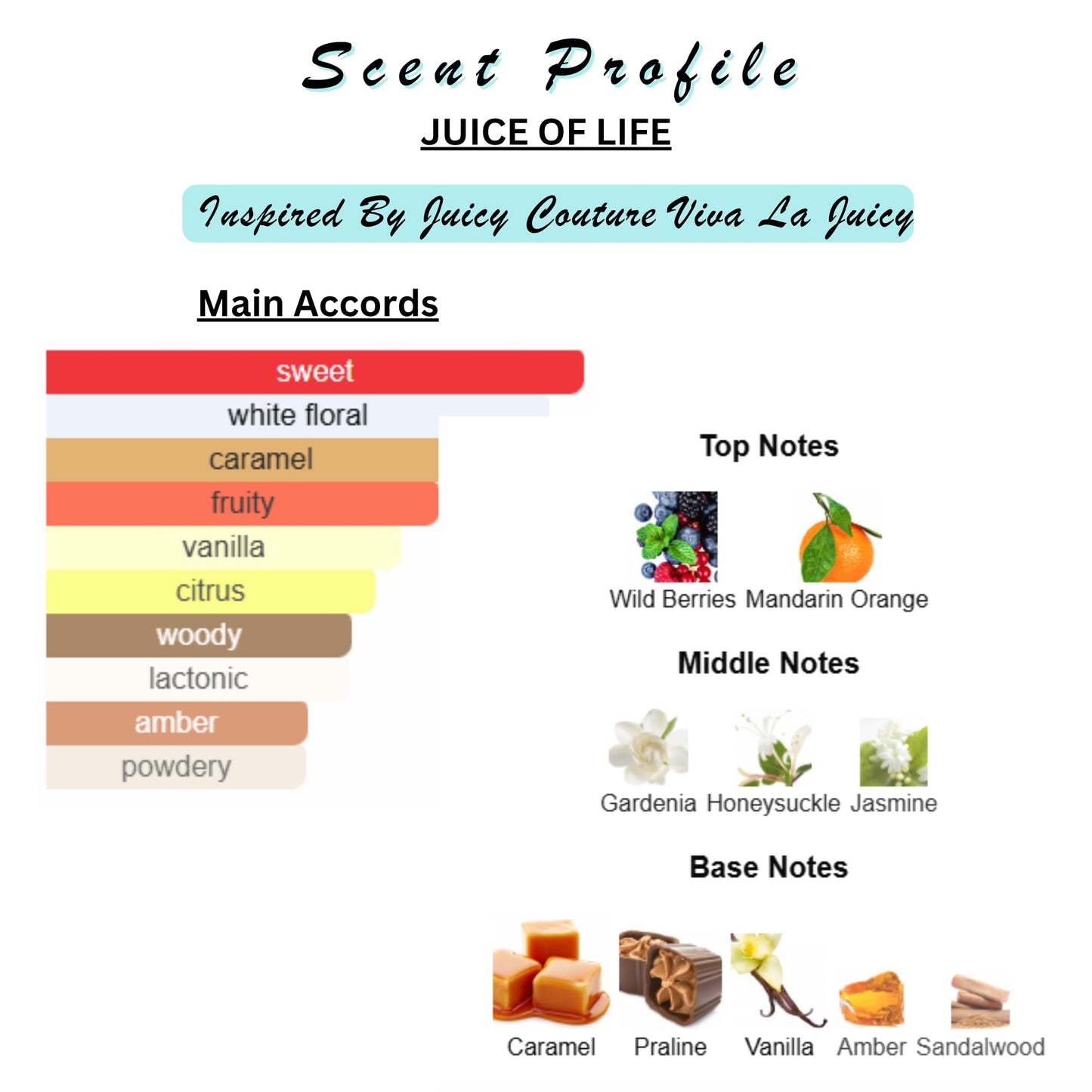 Perfume & Cologne Oil | Roller Ball | Designer Inspired Scents