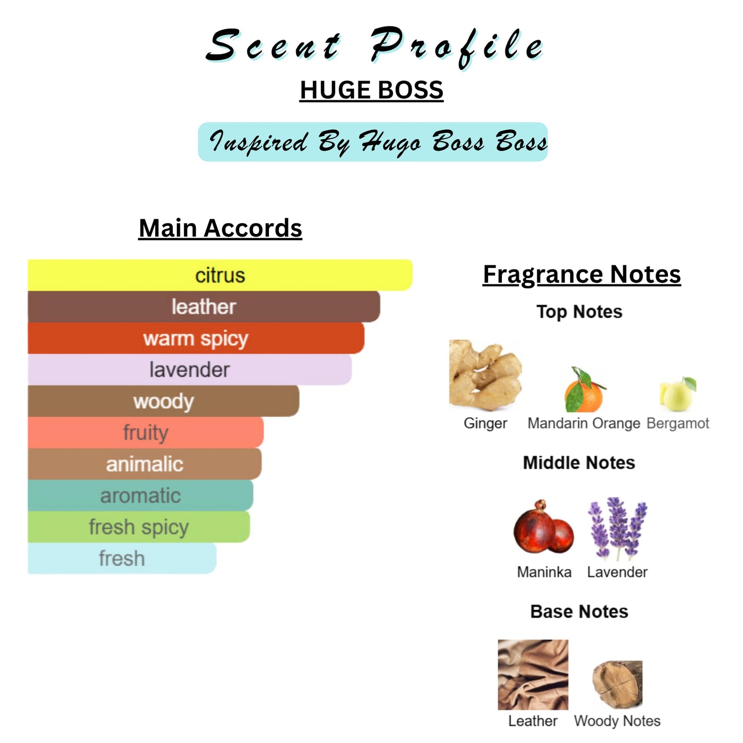 Perfume & Cologne Oil | Spray | Designer Inspired Scents