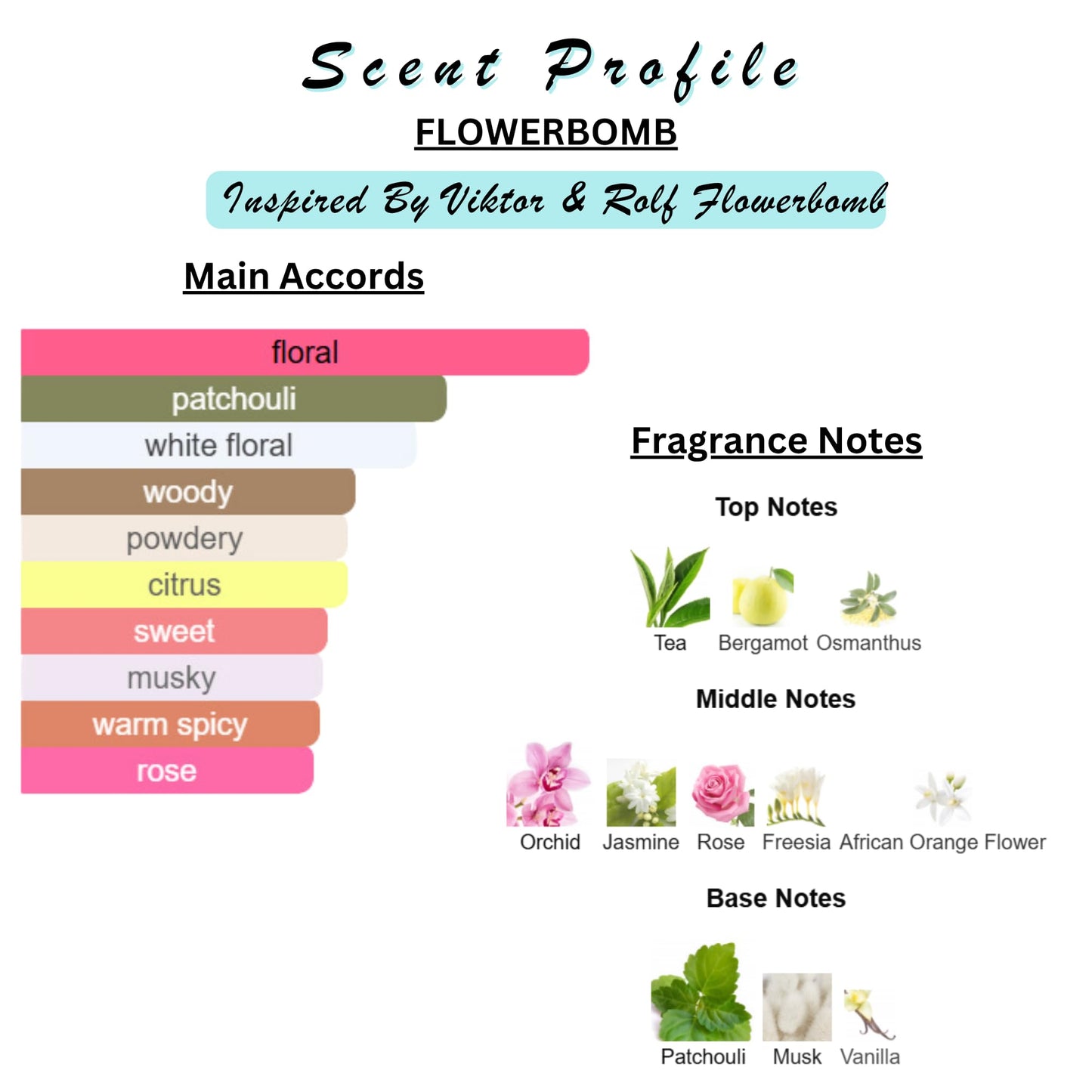 Solid Perfume & Cologne Balm | Designer Inspired Scents