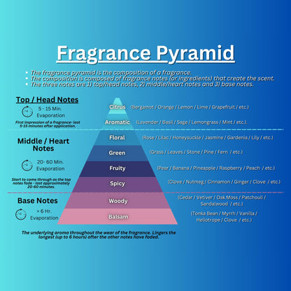 Perfume & Cologne Oil | Roller Ball | Designer Inspired Scents