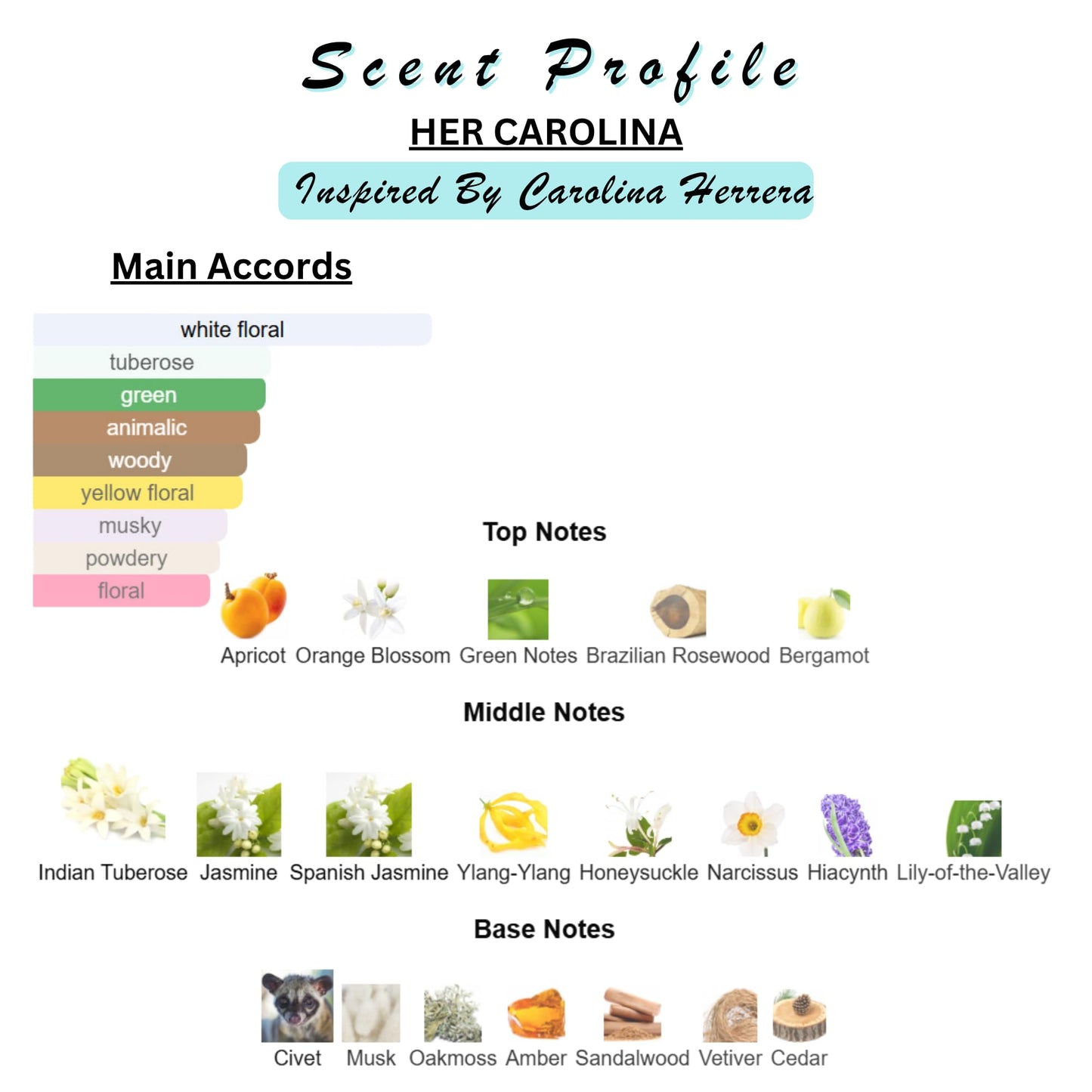 Solid Perfume & Cologne Balm | Designer Inspired Scents