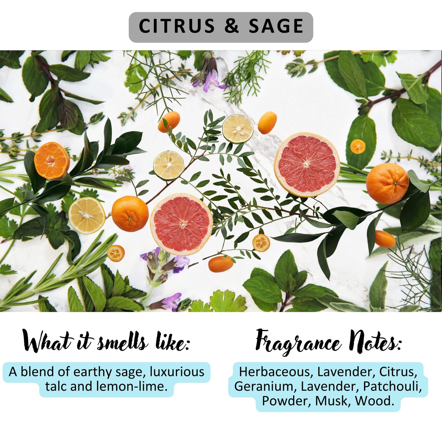 Solid Lotion Bar | Vegan