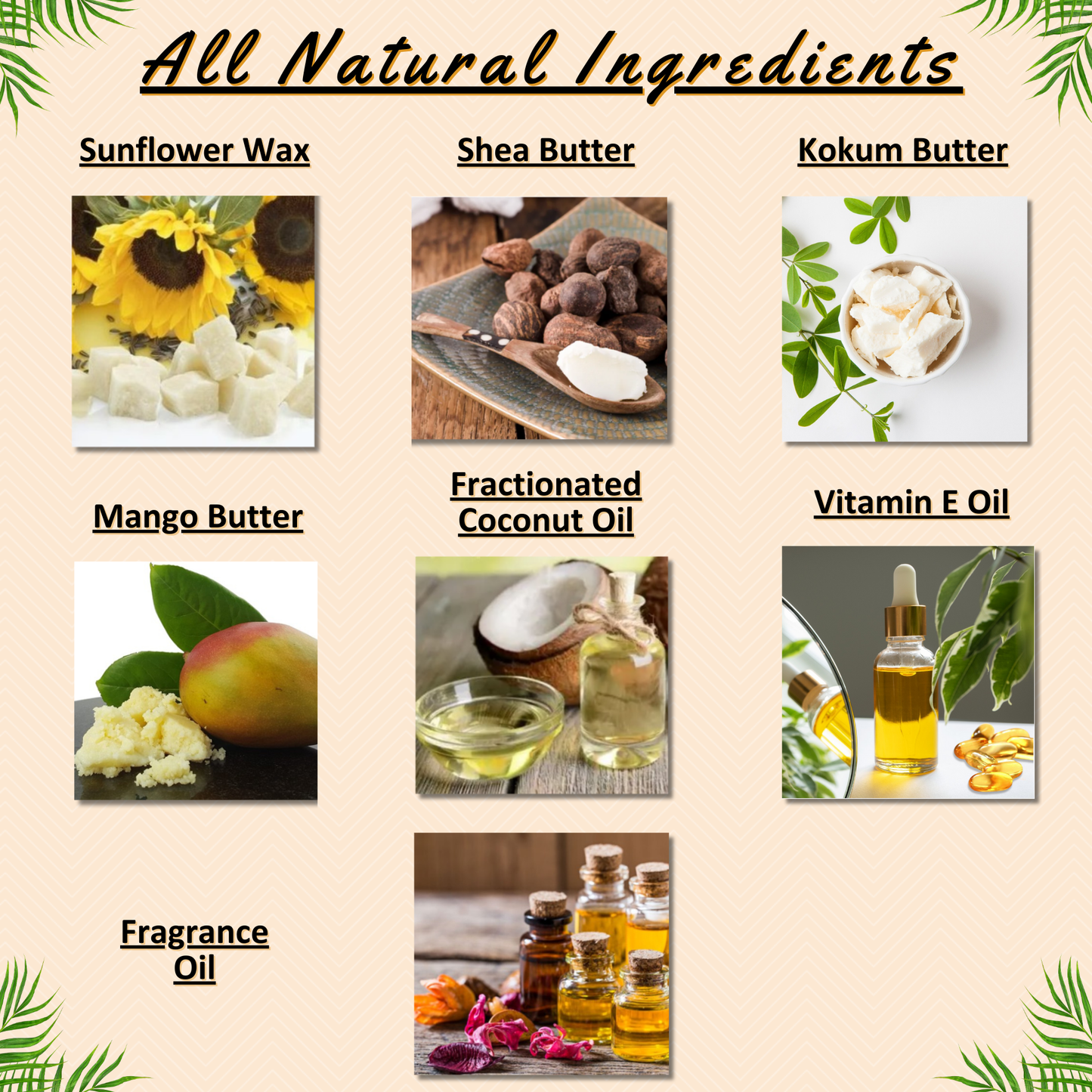 Solid Perfume & Cologne Balm | Designer Inspired Scents