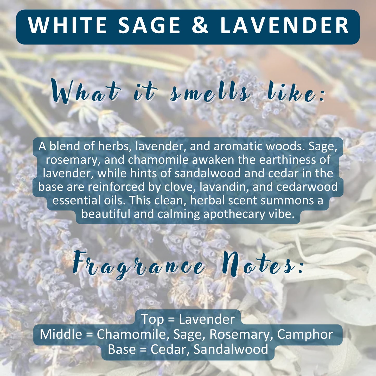 Solid Lotion Bar | Vegan