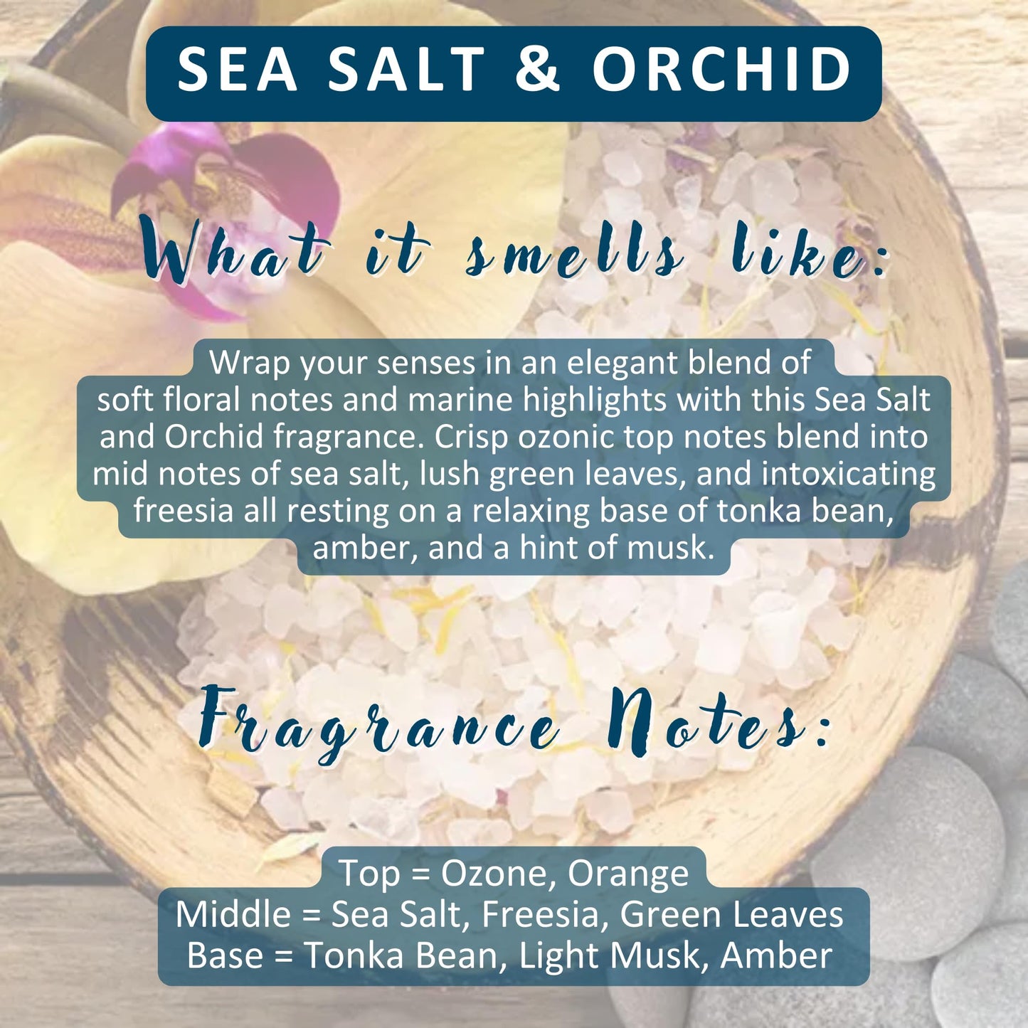 Solid Lotion Bar | Vegan