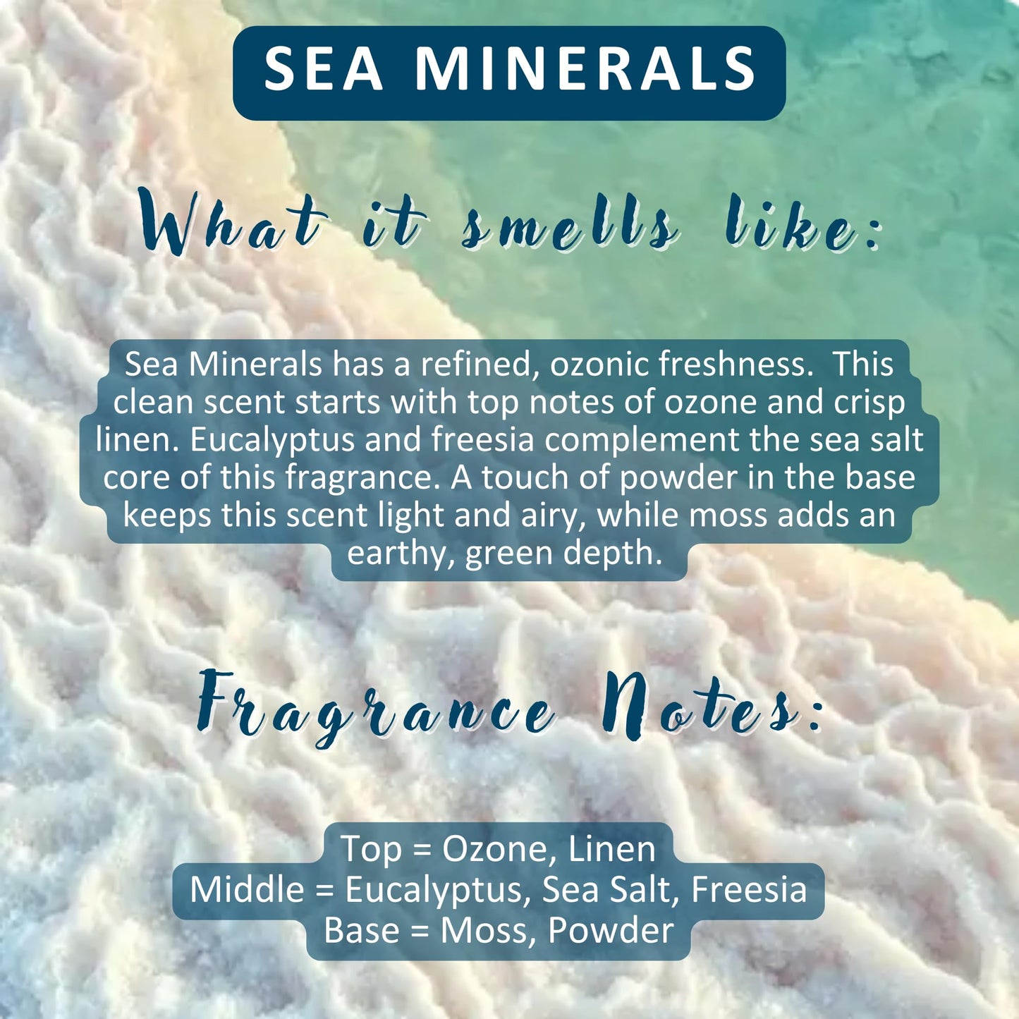 Solid Lotion Bar | Vegan