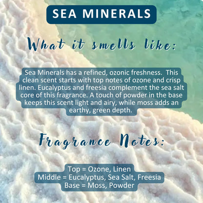 Solid Lotion Bar | Vegan